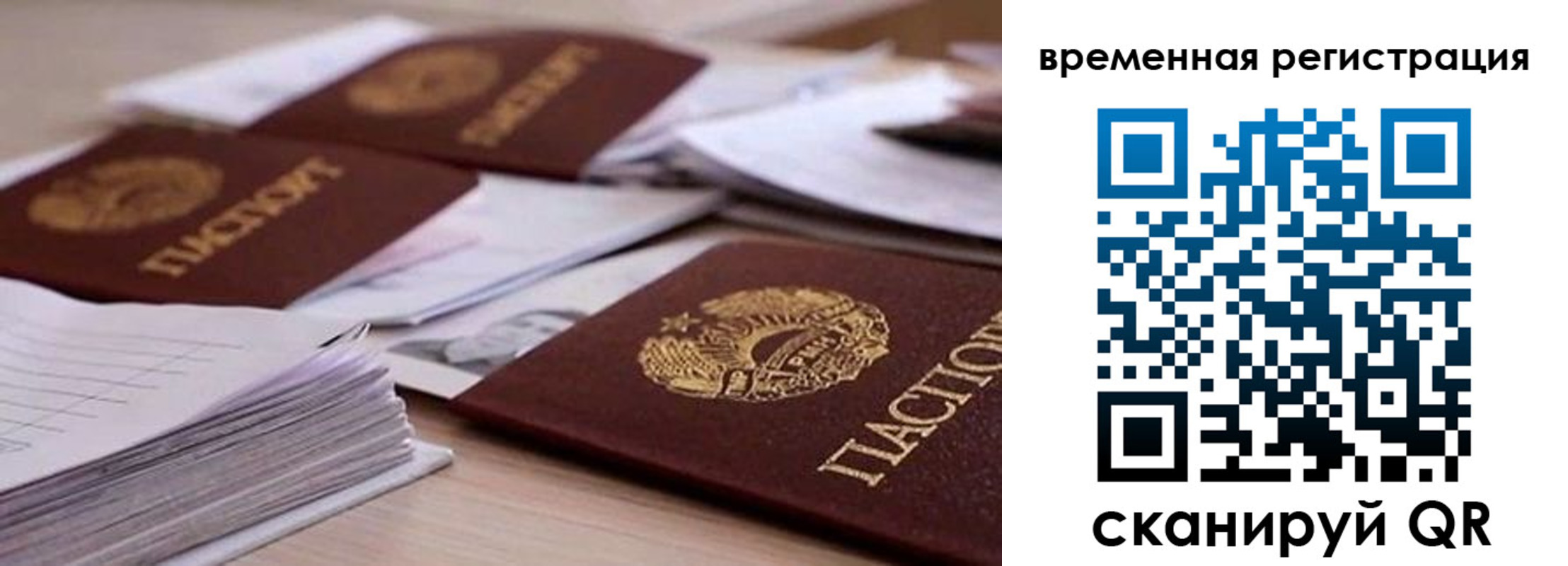 временная регистрация поиск в Выборге